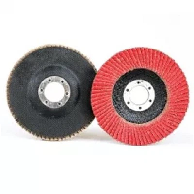 Disk flap keramik
